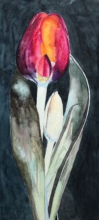 Enkelt tulipan