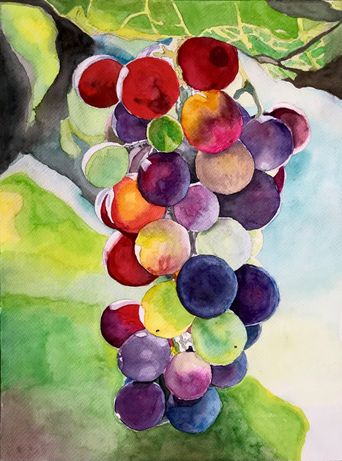 Kuloerte druer