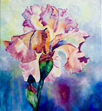 Lys pink iris