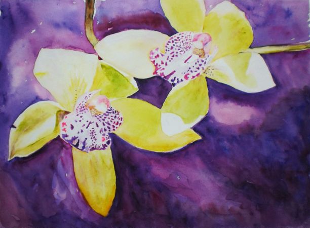 Orkide paa lilla baggrund