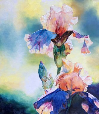 To- farvet iris